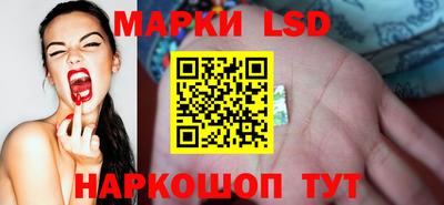 стаф Новозыбков