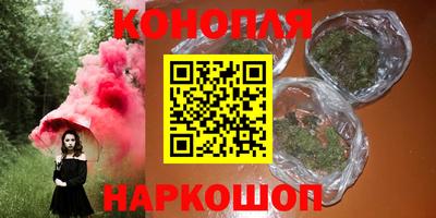 стаф Новозыбков
