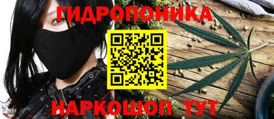 стаф Новозыбков