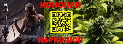 стаф Новозыбков