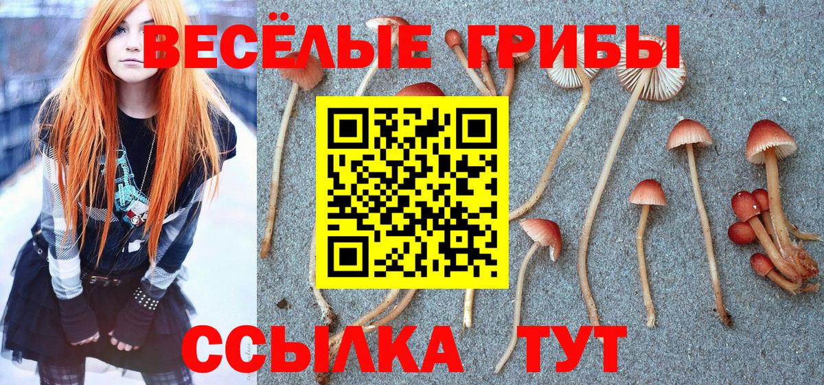 Спасск-Дальний  Галлюциногенные грибы ЛСД  Вход с VPN  Псилоцибиновые грибы Cubensis 