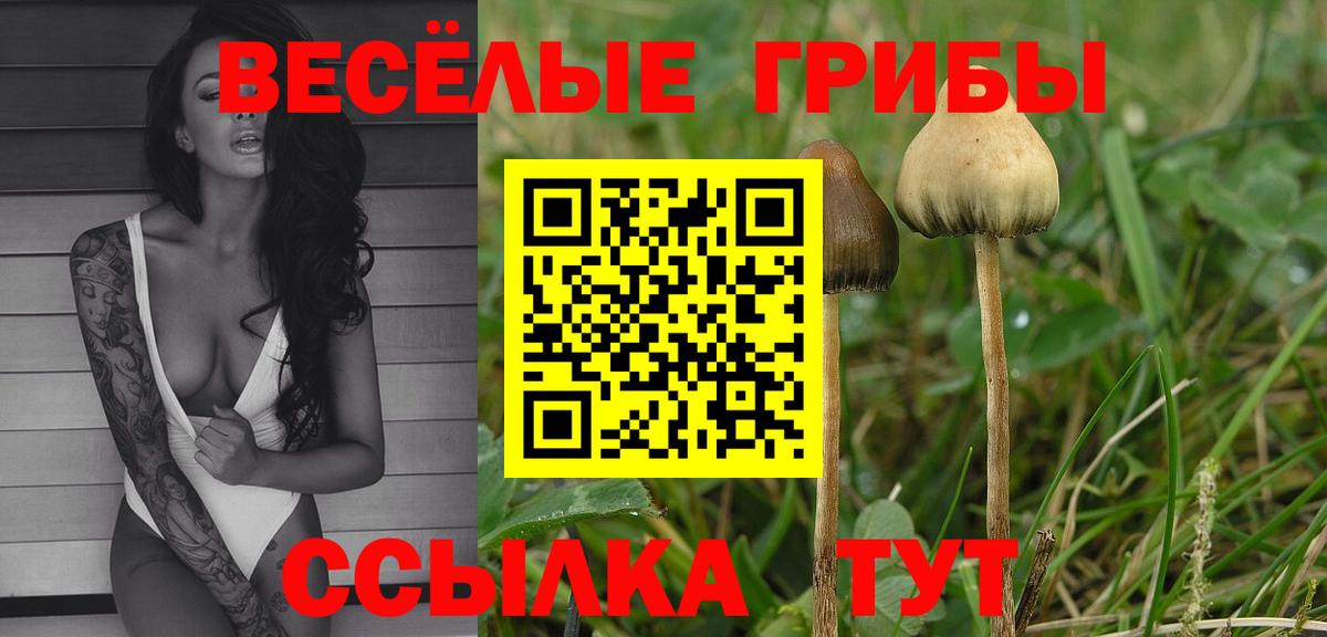 Галлюциногенные грибы Cubensis Спасск-Дальний